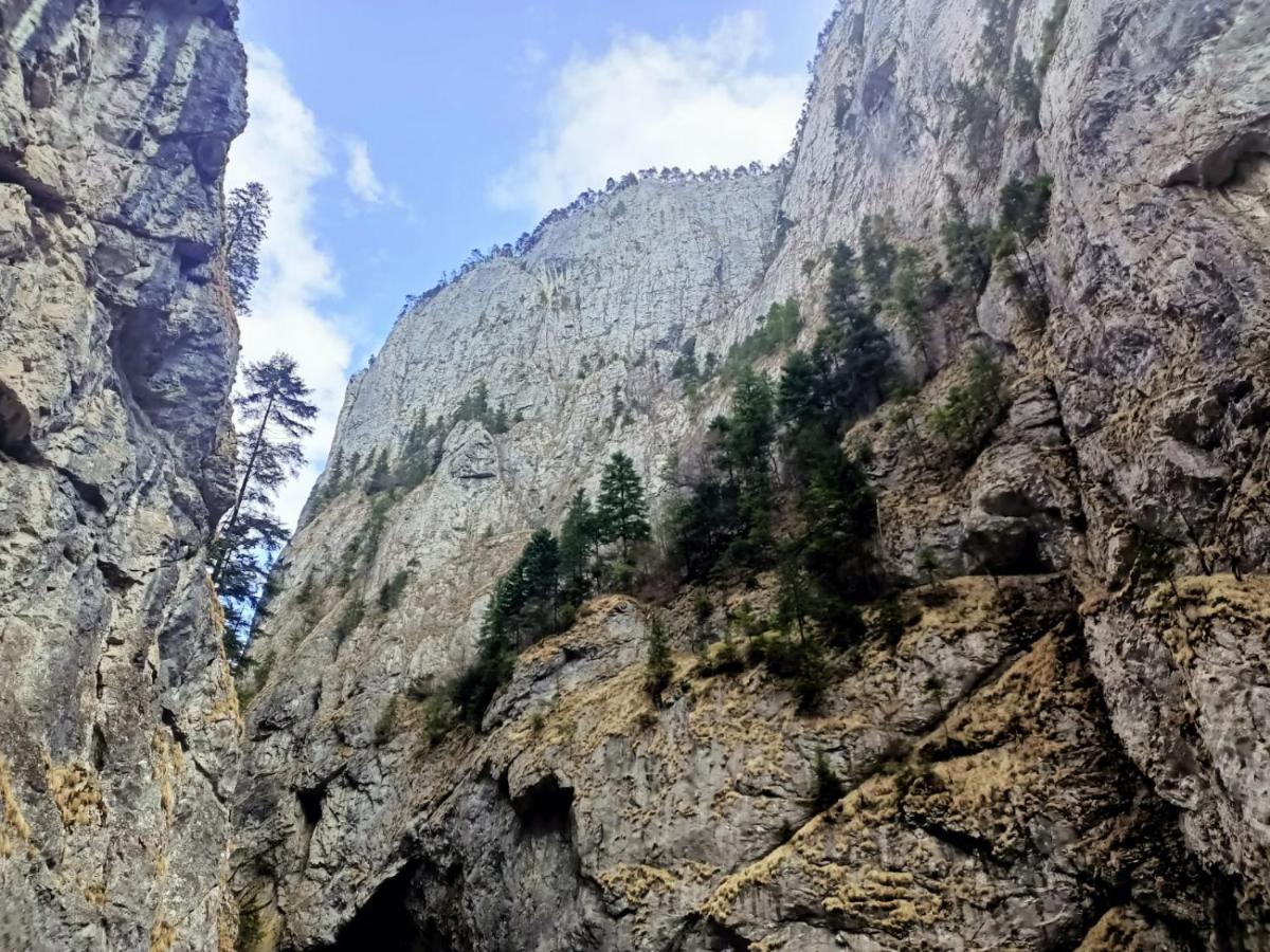 Pensiunea Aurelia Bicaz Chei Zewnętrze zdjęcie