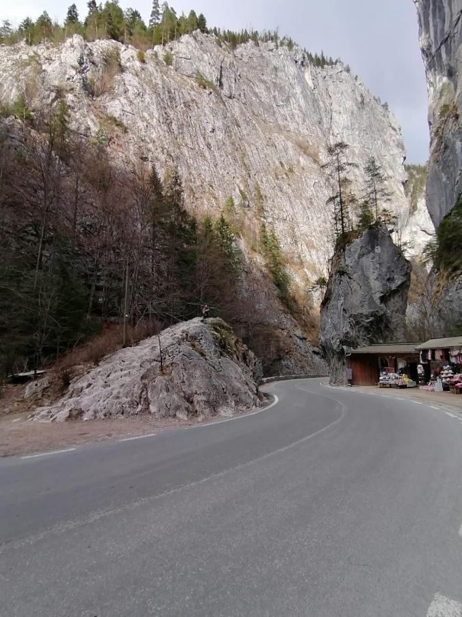 Pensiunea Aurelia Bicaz Chei Zewnętrze zdjęcie