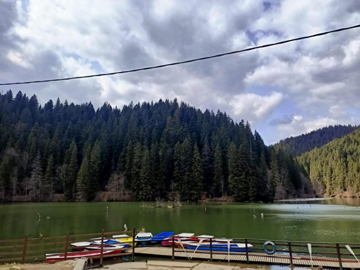Pensiunea Aurelia Bicaz Chei Zewnętrze zdjęcie