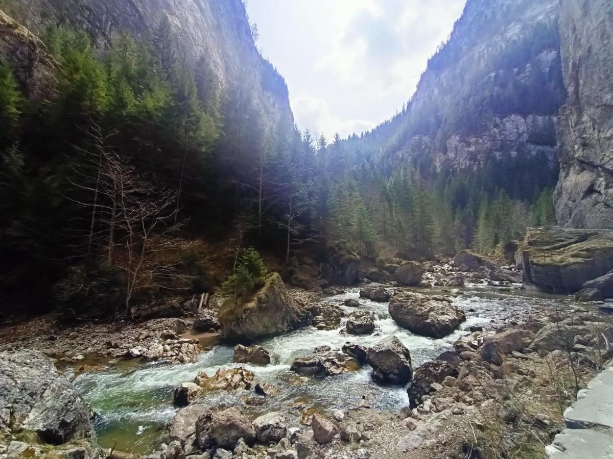 Pensiunea Aurelia Bicaz Chei Zewnętrze zdjęcie