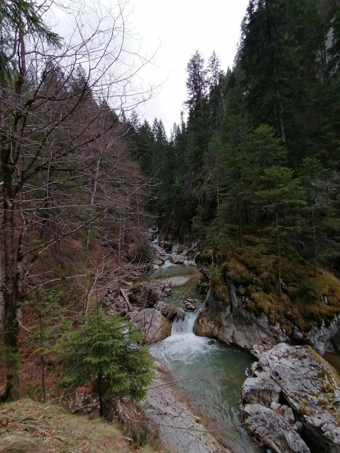 Pensiunea Aurelia Bicaz Chei Zewnętrze zdjęcie