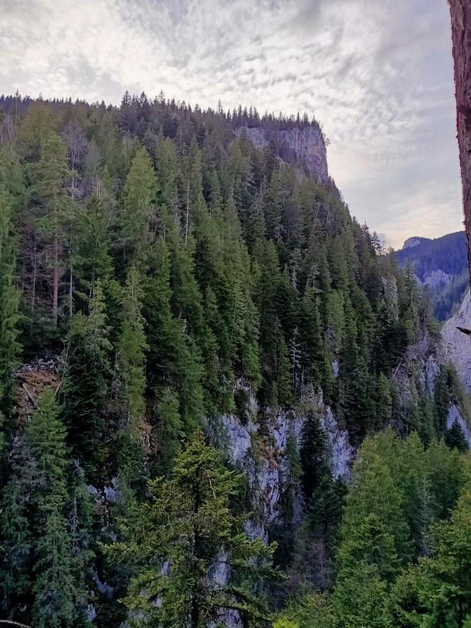 Pensiunea Aurelia Bicaz Chei Zewnętrze zdjęcie