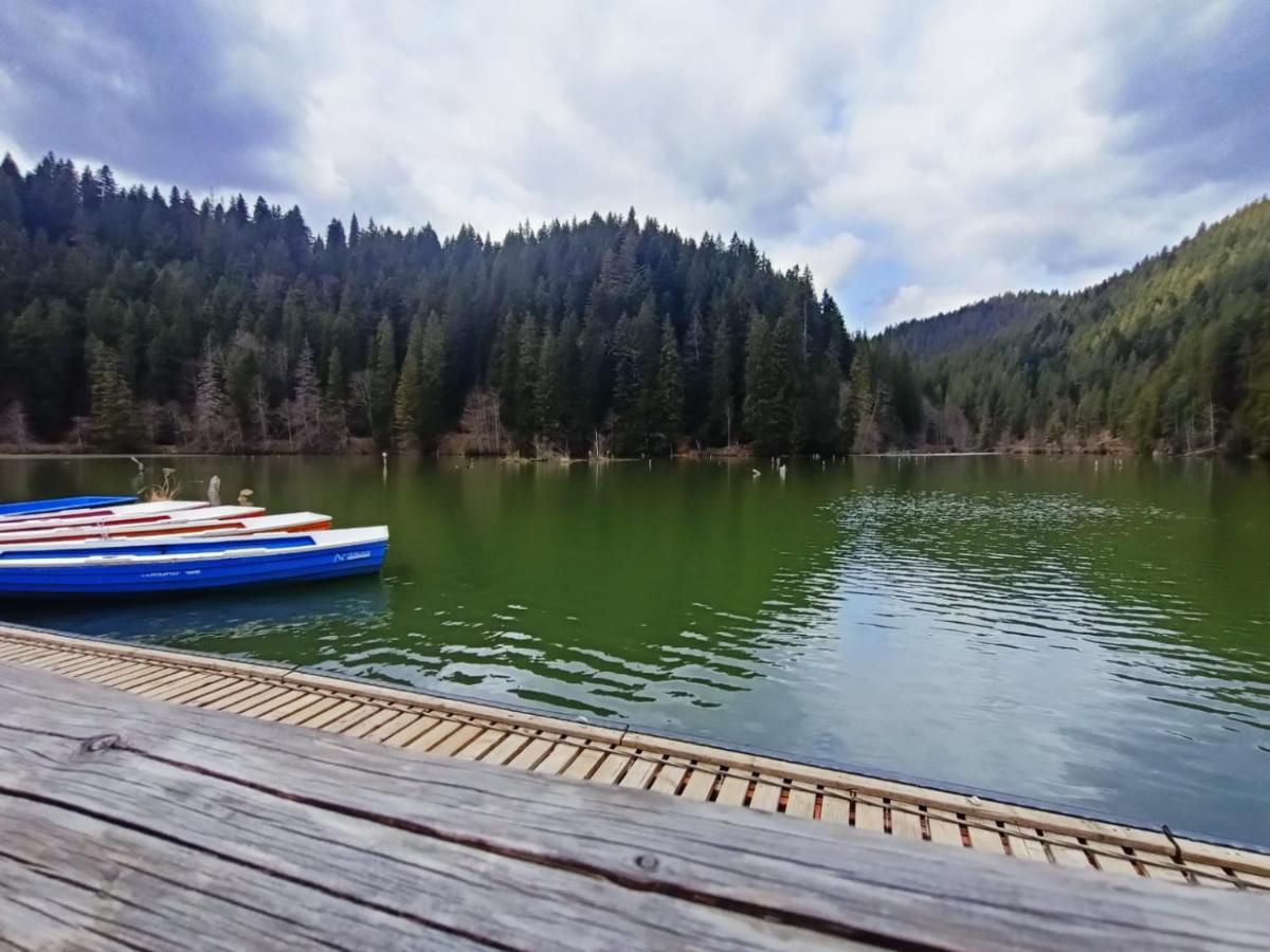 Pensiunea Aurelia Bicaz Chei Zewnętrze zdjęcie