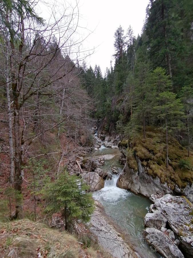 Pensiunea Aurelia Bicaz Chei Zewnętrze zdjęcie