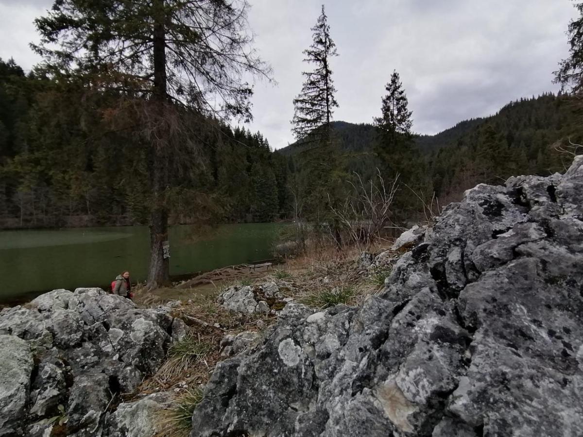 Pensiunea Aurelia Bicaz Chei Zewnętrze zdjęcie